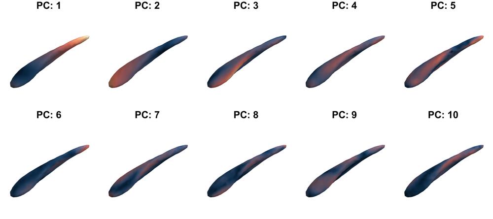 Visualization of the location where the shape model shows variation.