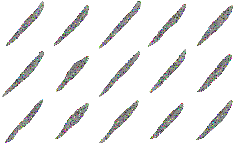 Shape model meshes that are identical over various muscles.